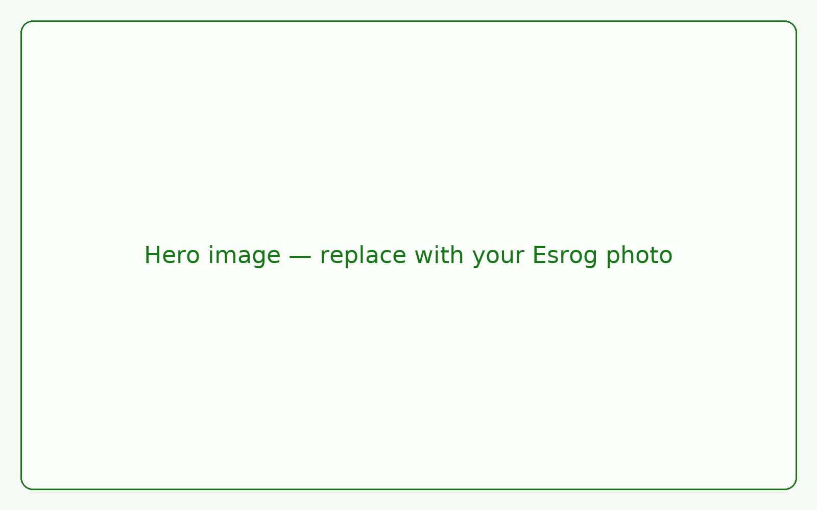 Beautiful Esrog
